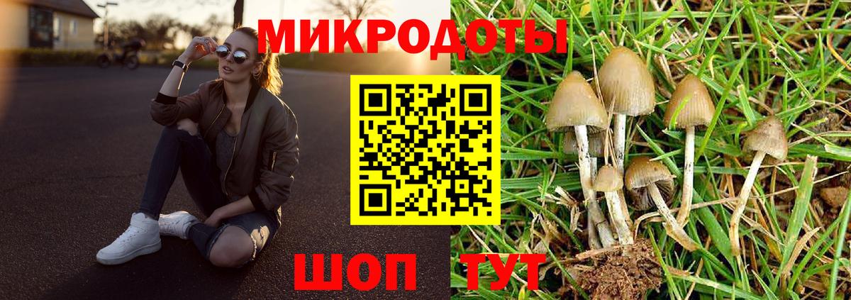 Псилоцибиновые грибы мухоморы Берёзовский